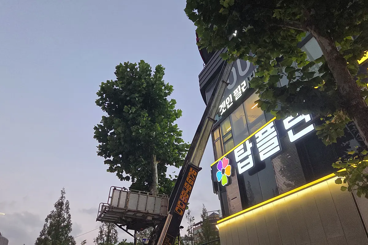 도봉구 폐기물 업체 가격 현장 사진 1