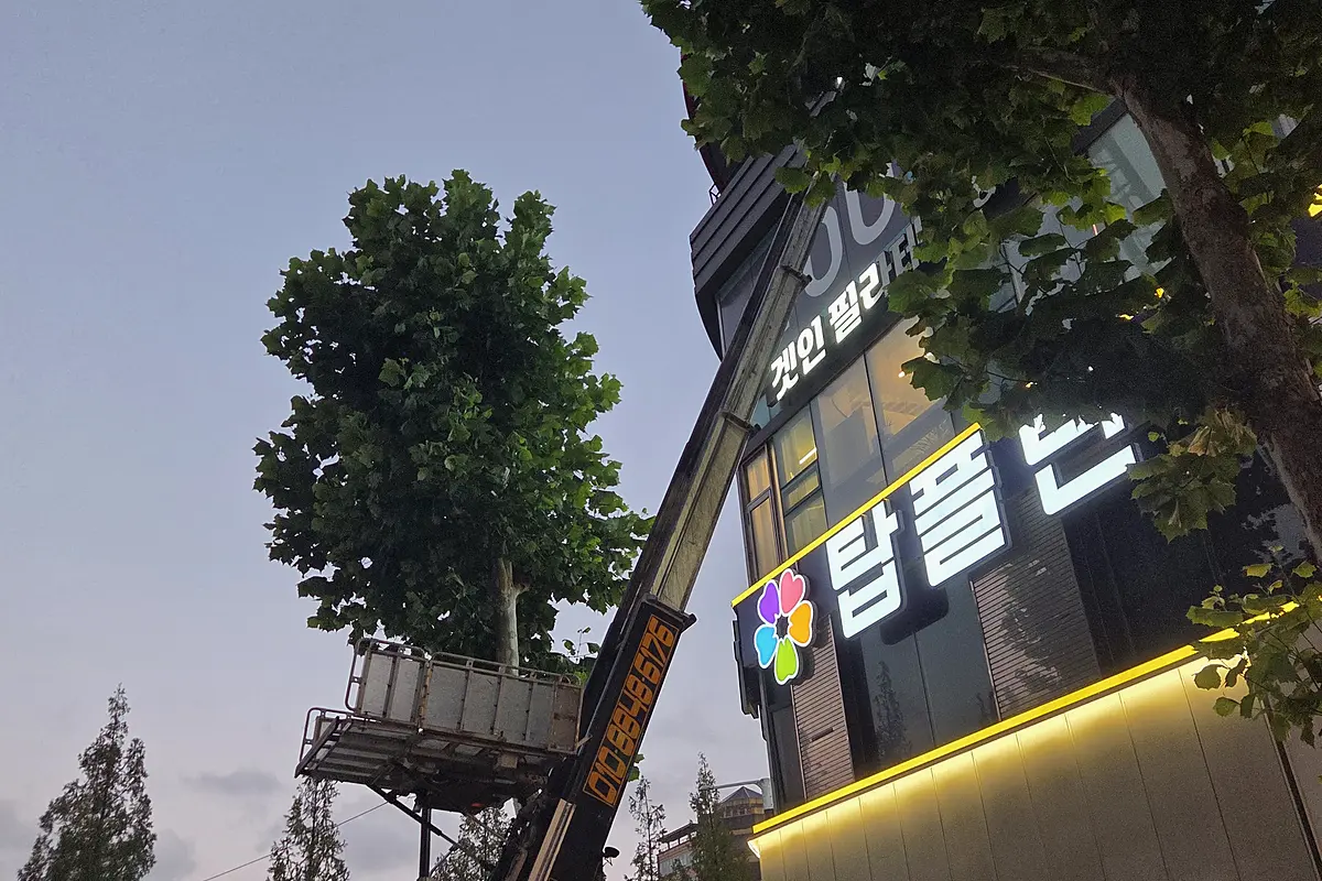 양주 옥상 산업폐기물 가격 현장 사진 4