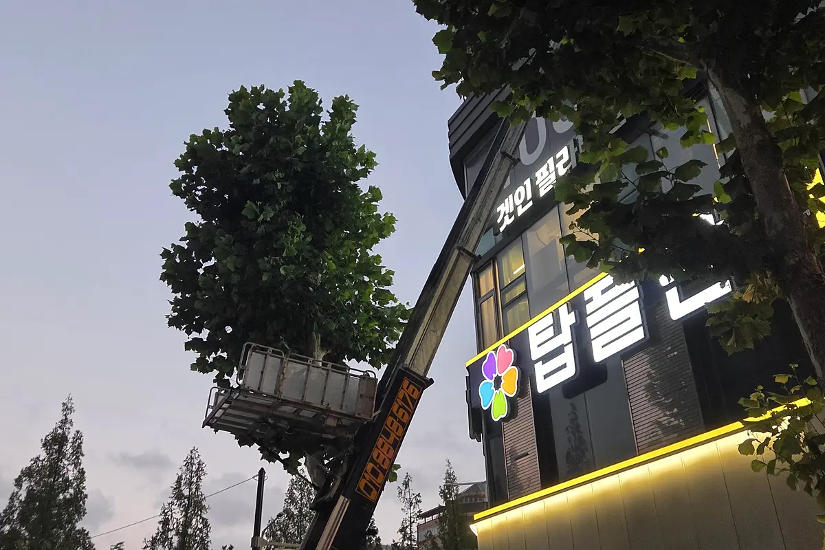 부천 원미구 혼합폐기물 견적 현장 사진 2